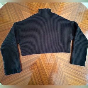 Sanctuary cropped sweater